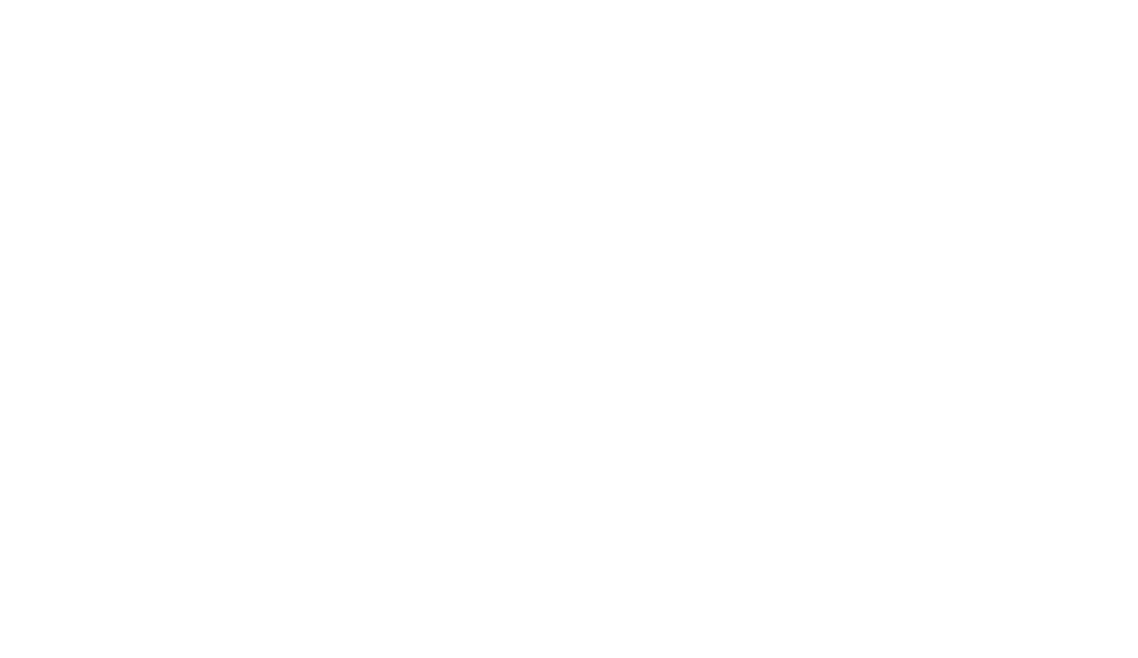 Veloz client logo 6